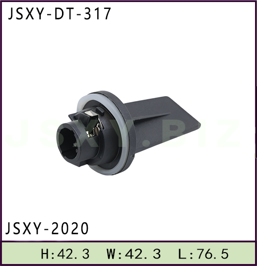 JSXY-DT-2020