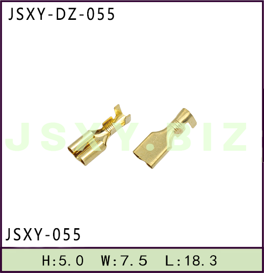 JSXY-DZ-055