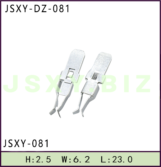 JSXY-DZ-081