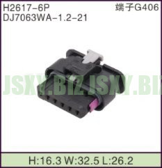 JSXY-H2617-6P