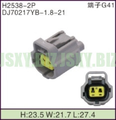 JSXY-H2538-2P