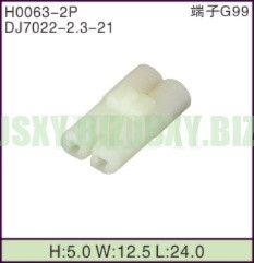 JSXY-H0063-2P