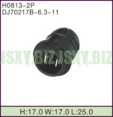 JSXY-H0813-2P